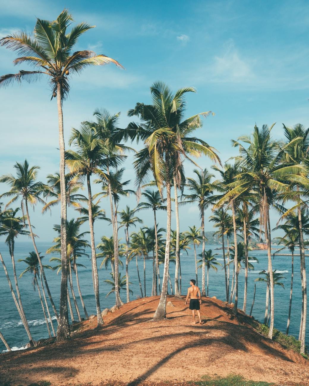 MIRISSA