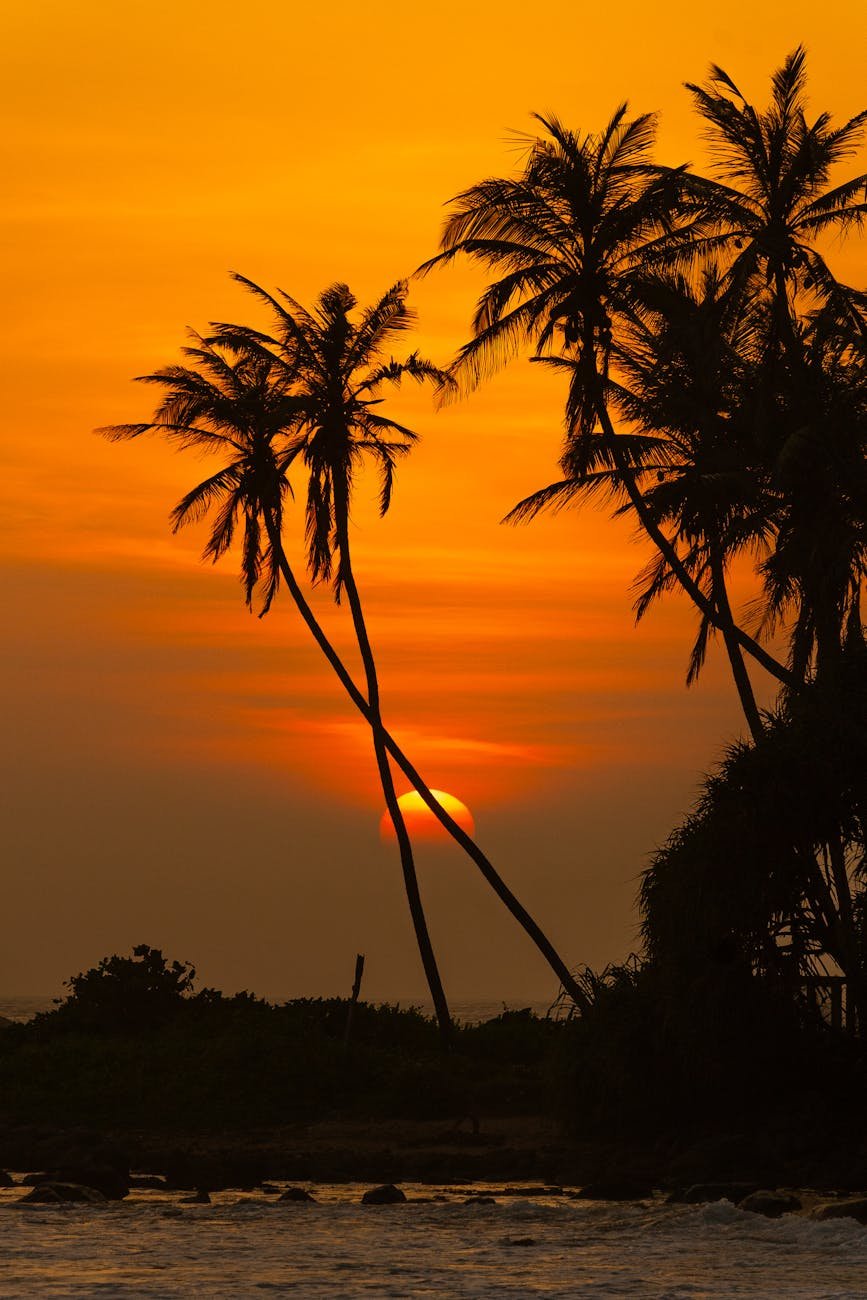 HIKKADUWA SRI LANKA