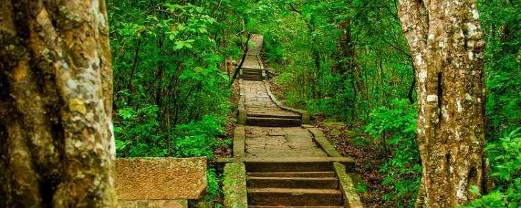 Discover the Ancient Secrets of Ritigala: A Travel Guide to Sri Lanka's Hidden Gem